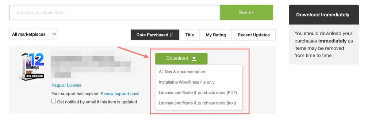 Codecanyon item download options